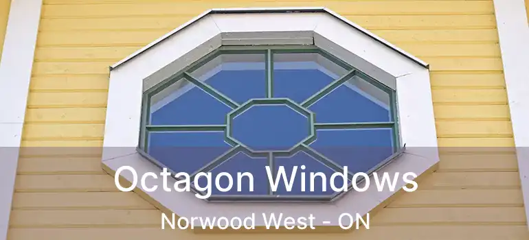  Octagon Windows Norwood West - ON