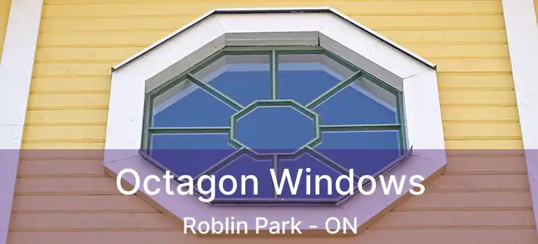  Octagon Windows Roblin Park - ON