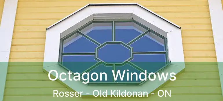  Octagon Windows Rosser - Old Kildonan - ON