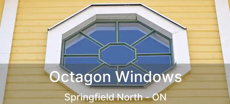  Octagon Windows Springfield North - ON
