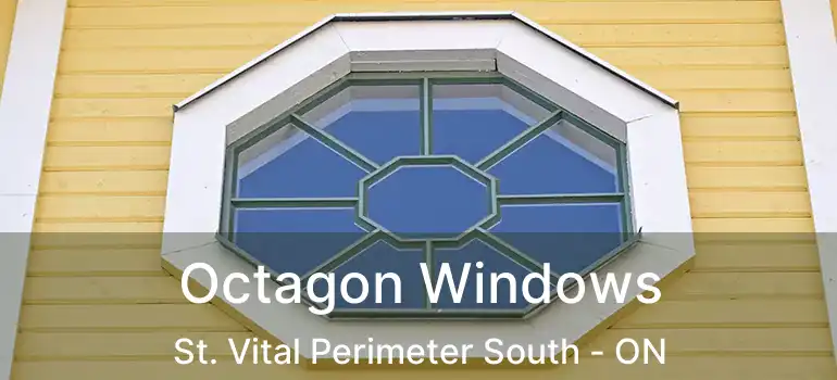  Octagon Windows St. Vital Perimeter South - ON