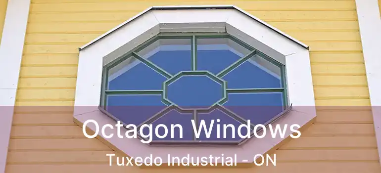  Octagon Windows Tuxedo Industrial - ON