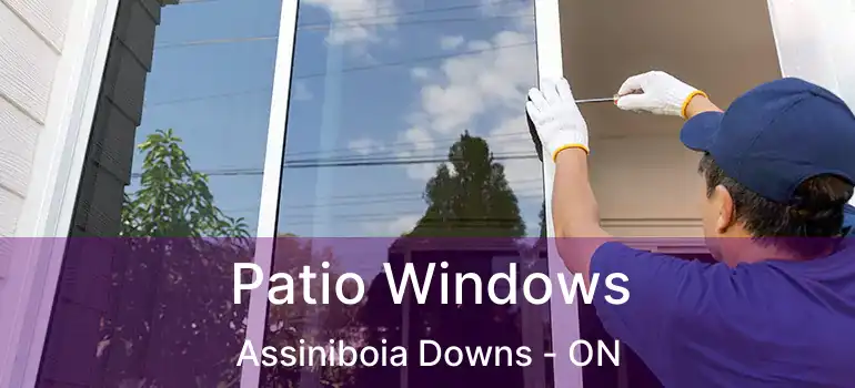  Patio Windows Assiniboia Downs - ON
