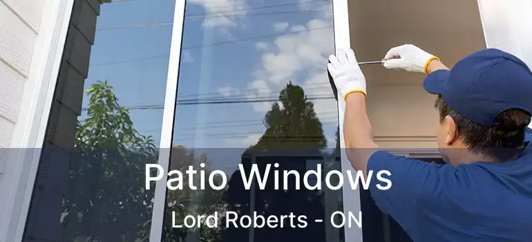  Patio Windows Lord Roberts - ON