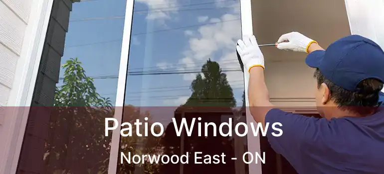  Patio Windows Norwood East - ON