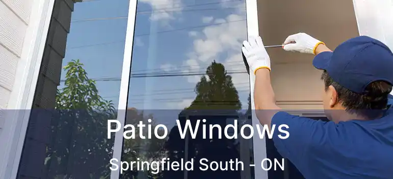  Patio Windows Springfield South - ON
