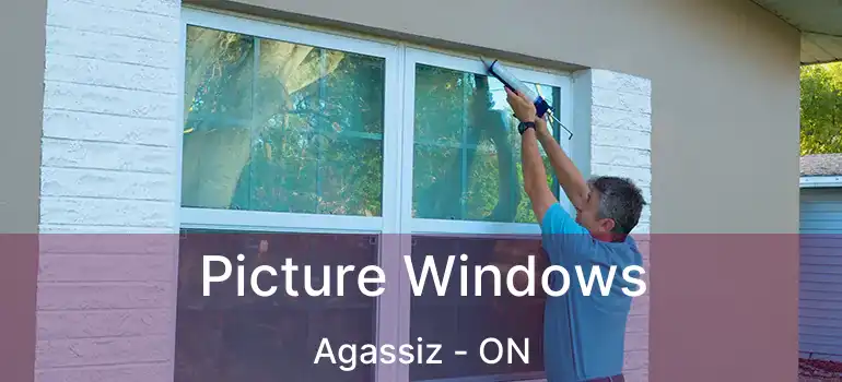  Picture Windows Agassiz - ON