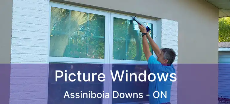  Picture Windows Assiniboia Downs - ON