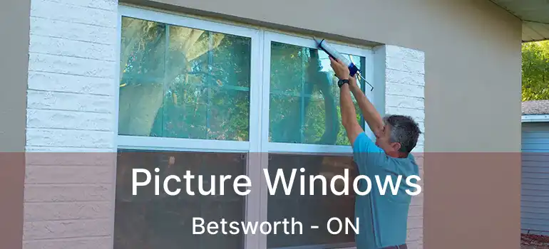  Picture Windows Betsworth - ON