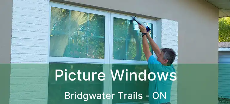  Picture Windows Bridgwater Trails - ON