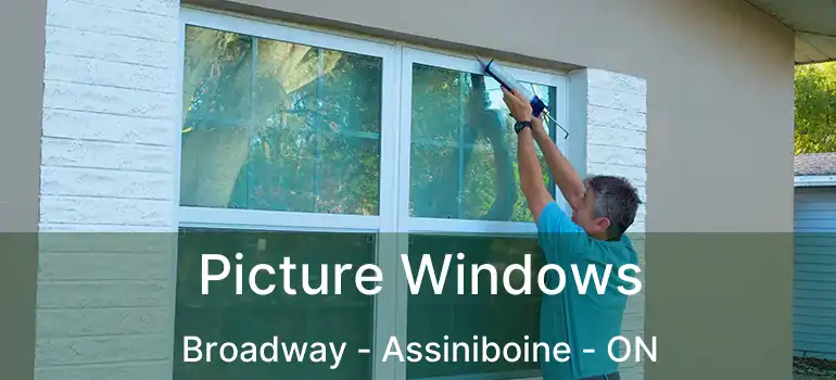  Picture Windows Broadway - Assiniboine - ON