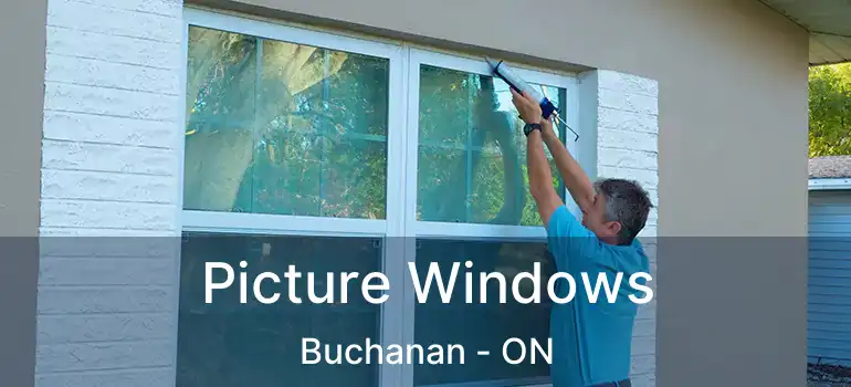  Picture Windows Buchanan - ON