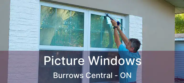  Picture Windows Burrows Central - ON