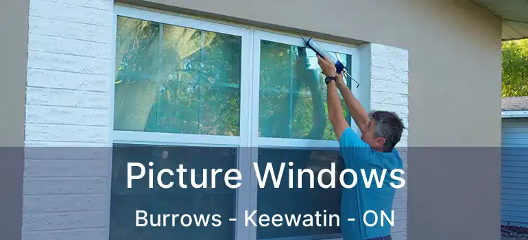  Picture Windows Burrows - Keewatin - ON