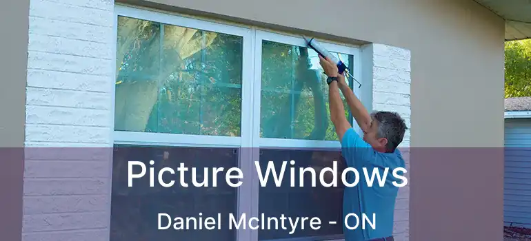  Picture Windows Daniel McIntyre - ON