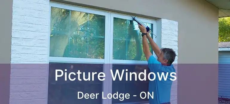  Picture Windows Deer Lodge - ON