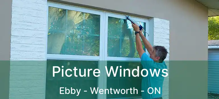  Picture Windows Ebby - Wentworth - ON