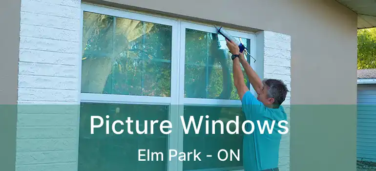  Picture Windows Elm Park - ON