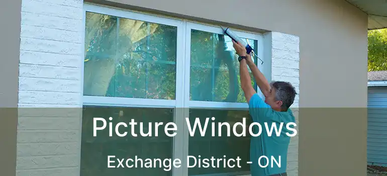  Picture Windows Exchange District - ON