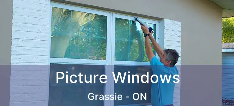  Picture Windows Grassie - ON