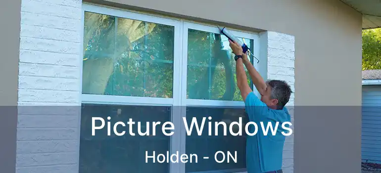  Picture Windows Holden - ON