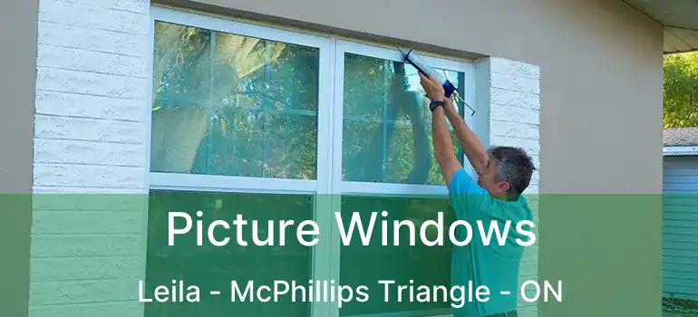  Picture Windows Leila - McPhillips Triangle - ON