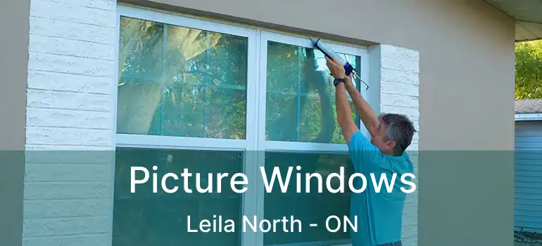  Picture Windows Leila North - ON