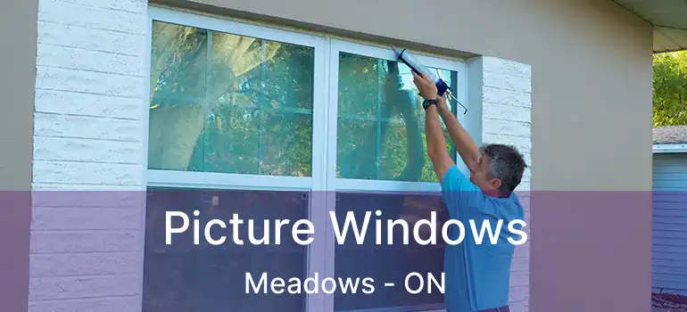  Picture Windows Meadows - ON