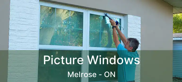  Picture Windows Melrose - ON