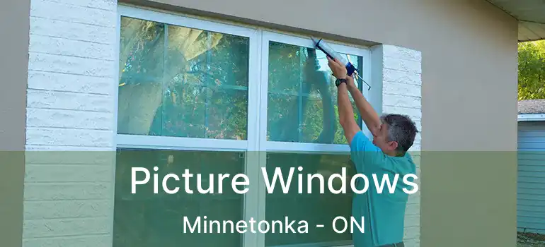  Picture Windows Minnetonka - ON