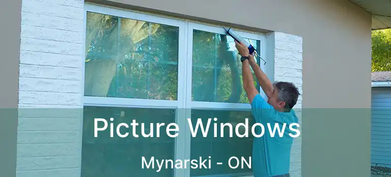  Picture Windows Mynarski - ON
