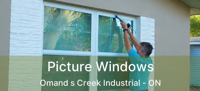  Picture Windows Omand s Creek Industrial - ON