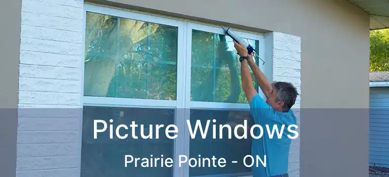  Picture Windows Prairie Pointe - ON