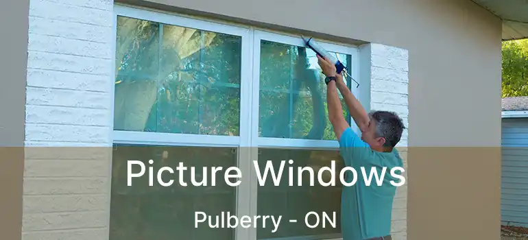  Picture Windows Pulberry - ON