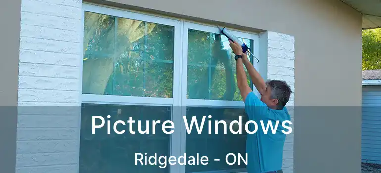  Picture Windows Ridgedale - ON