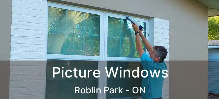  Picture Windows Roblin Park - ON