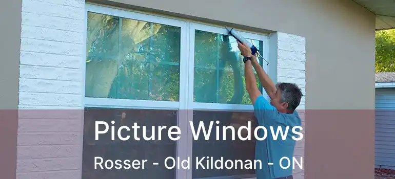  Picture Windows Rosser - Old Kildonan - ON