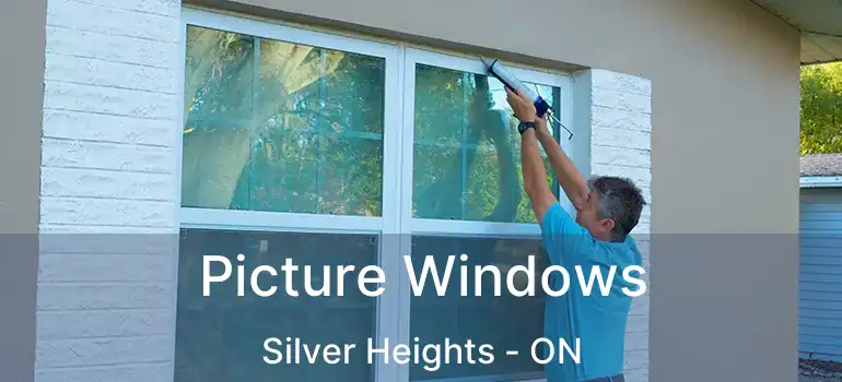  Picture Windows Silver Heights - ON