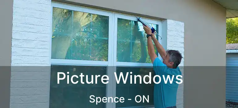  Picture Windows Spence - ON