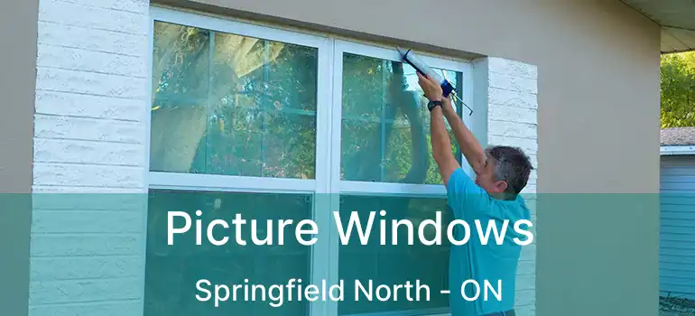  Picture Windows Springfield North - ON