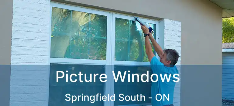  Picture Windows Springfield South - ON