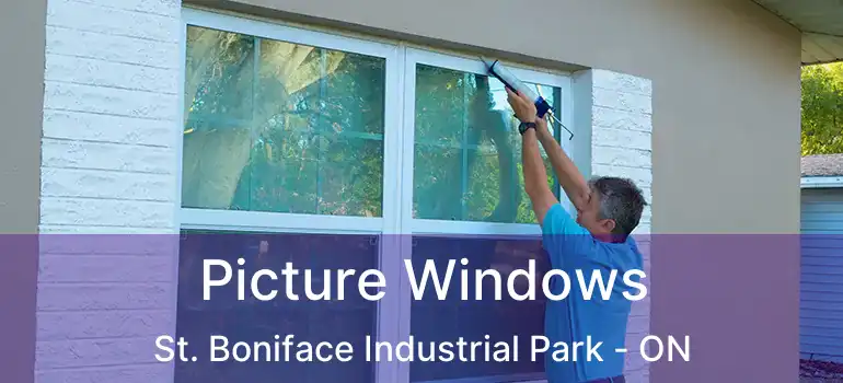  Picture Windows St. Boniface Industrial Park - ON