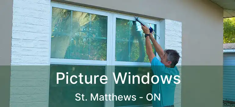  Picture Windows St. Matthews - ON