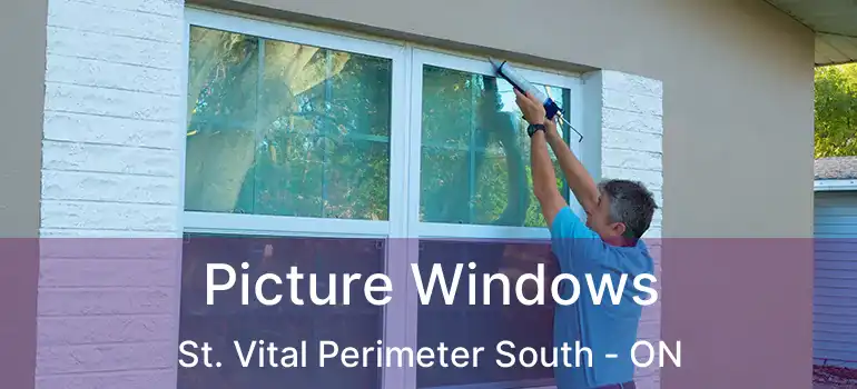 Picture Windows St. Vital Perimeter South - ON