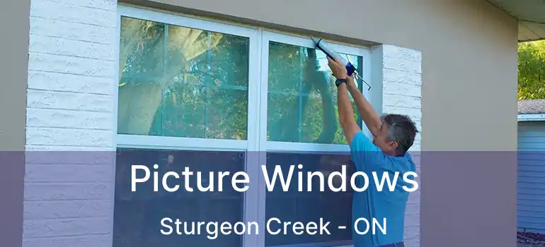  Picture Windows Sturgeon Creek - ON