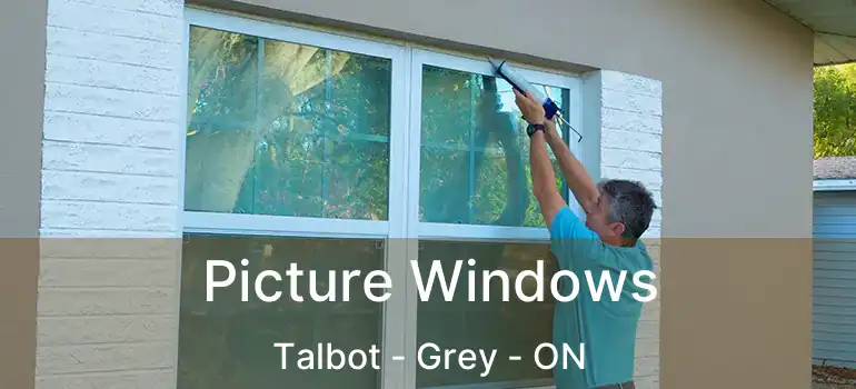  Picture Windows Talbot - Grey - ON
