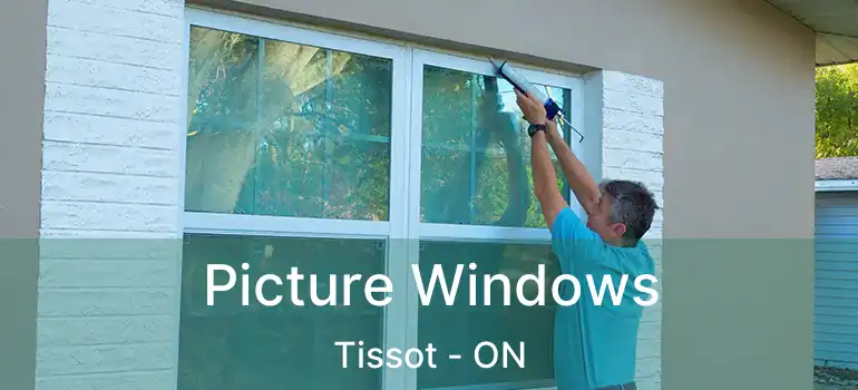  Picture Windows Tissot - ON