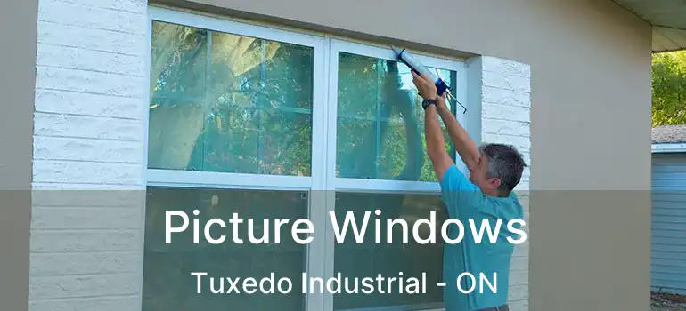  Picture Windows Tuxedo Industrial - ON