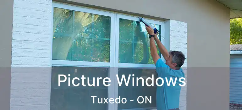  Picture Windows Tuxedo - ON