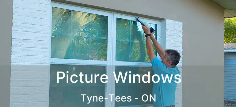  Picture Windows Tyne-Tees - ON